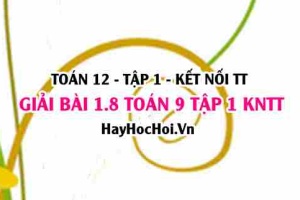 Bài 1.8 Toán 12 tập 1 SGK Kết nối tri thức